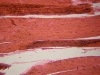 Frog striated muscle